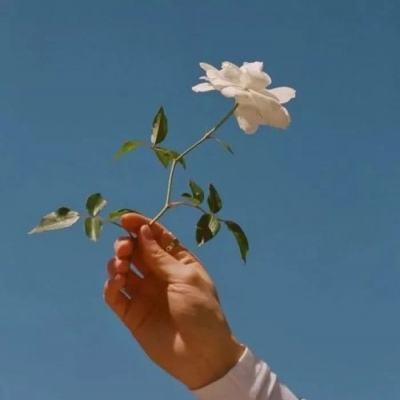 一战王主官方下载