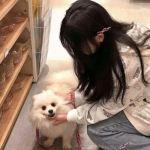 脑洞连连看官方版下载
